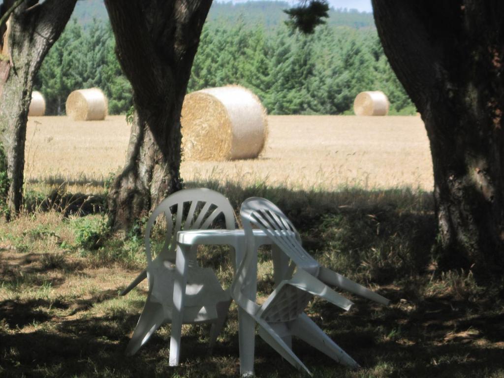 Le Relais De Porz Morvan 普洛默迪耶尔恩 外观 照片