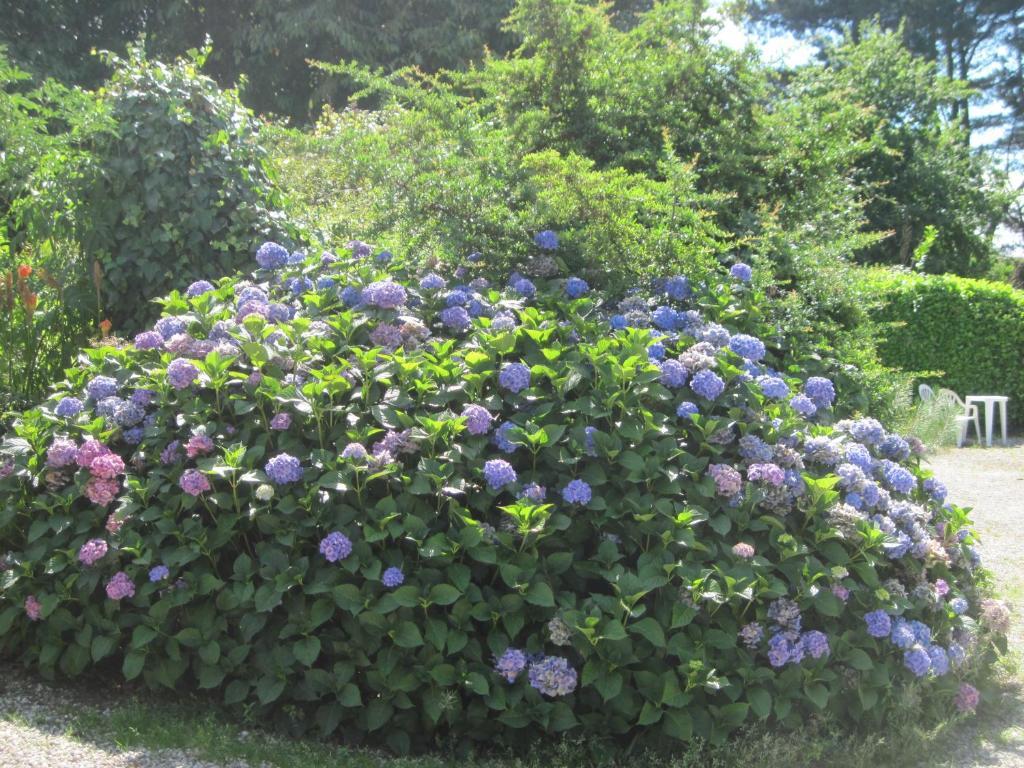 Le Relais De Porz Morvan 普洛默迪耶尔恩 外观 照片